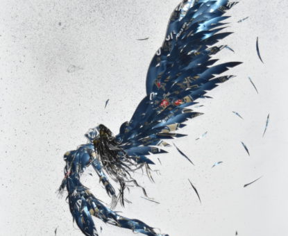 Dark Angel Canette 2018 Vincent Wateau
